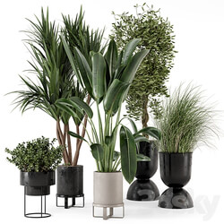 Indoor Plants in Ferm Living Bau Pot Large Set 312 3D Models 3DSKY 