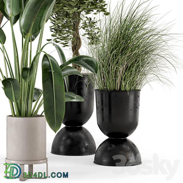Indoor Plants in Ferm Living Bau Pot Large Set 312 3D Models 3DSKY