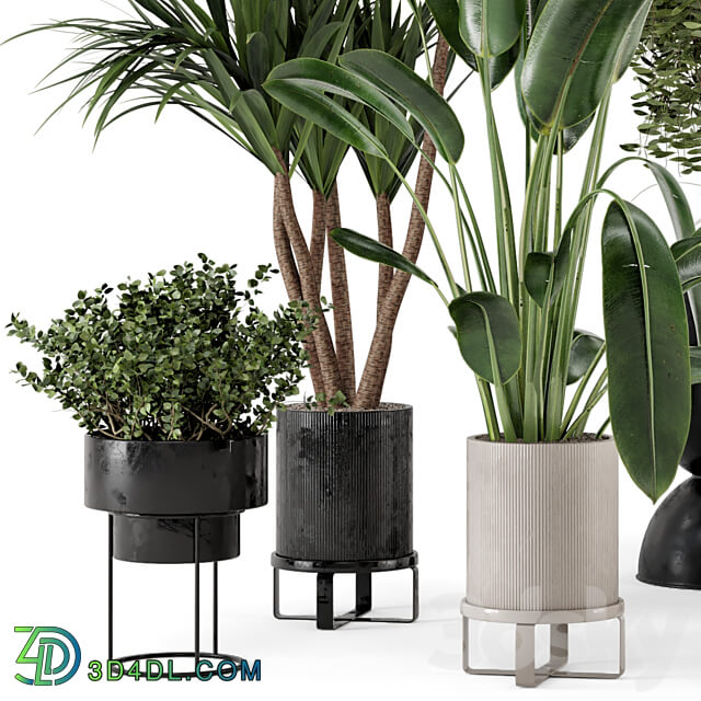 Indoor Plants in Ferm Living Bau Pot Large Set 312 3D Models 3DSKY