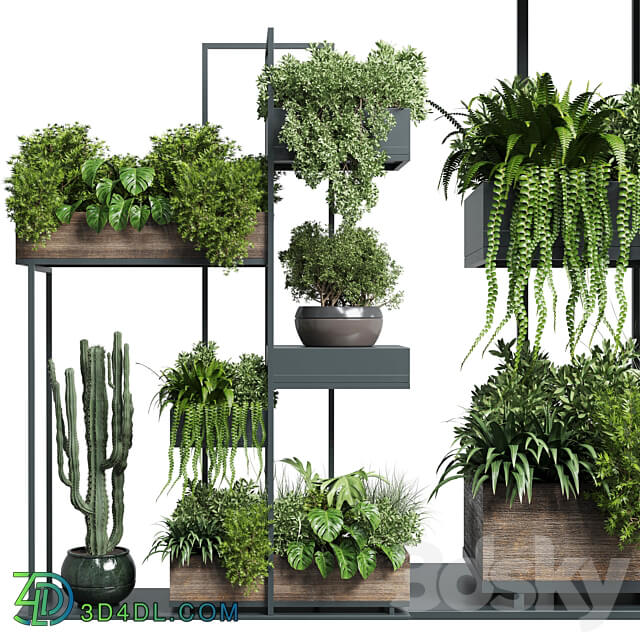 Collection Outdoor Indoor plant stand metal and wooden vase 13 3D Models 3DSKY