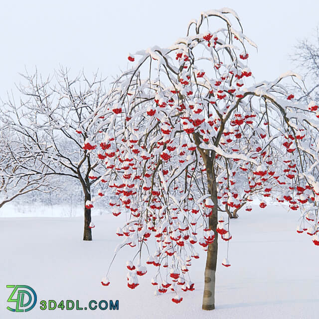 Winter trees 1 3D Models 3DSKY