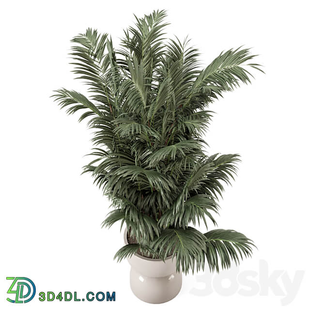 Indoor Plants in rusty Concrete Pot Set 352 3D Models 3DSKY