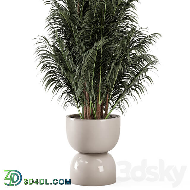 Indoor Plants in rusty Concrete Pot Set 352 3D Models 3DSKY