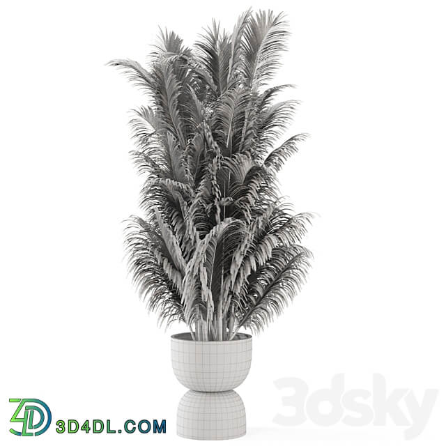 Indoor Plants in rusty Concrete Pot Set 352 3D Models 3DSKY