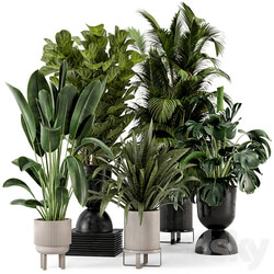 Indoor Plants in Ferm Living Bau Pot Large Set 376 3D Models 3DSKY 