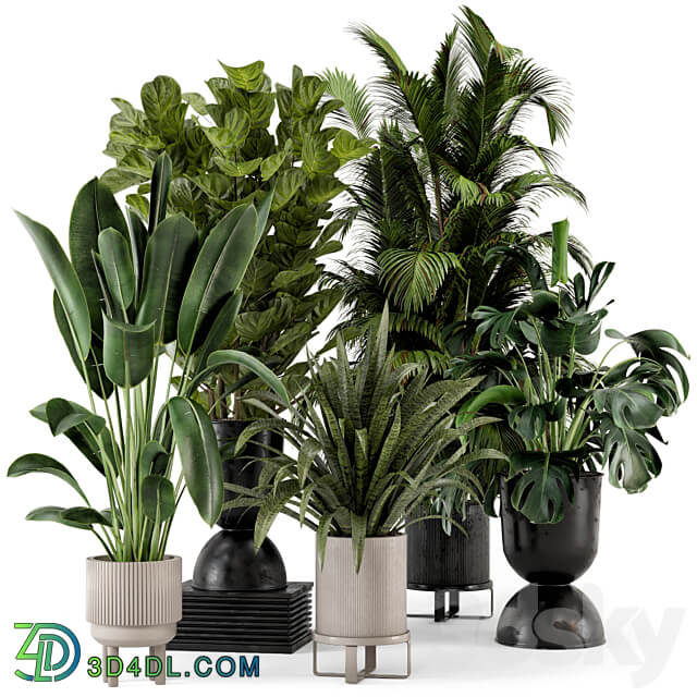 Indoor Plants in Ferm Living Bau Pot Large Set 376 3D Models 3DSKY