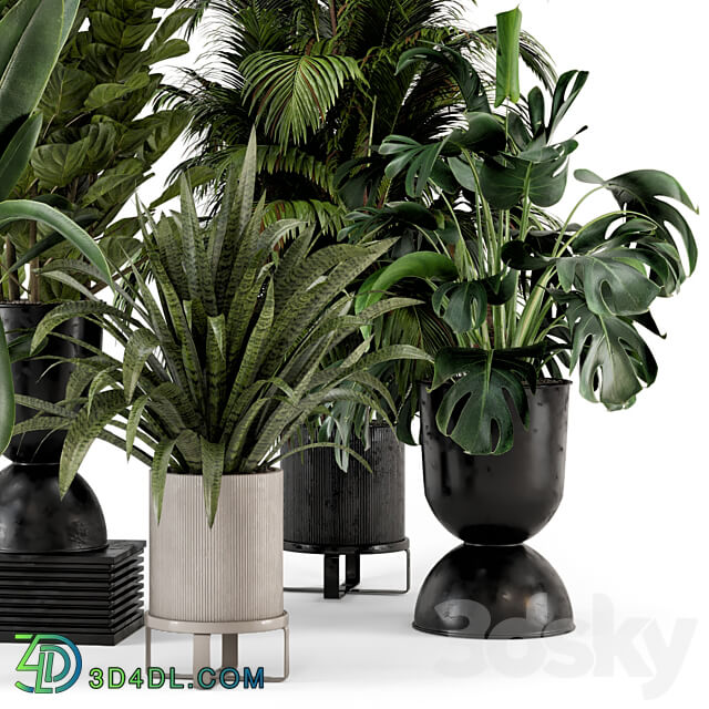 Indoor Plants in Ferm Living Bau Pot Large Set 376 3D Models 3DSKY