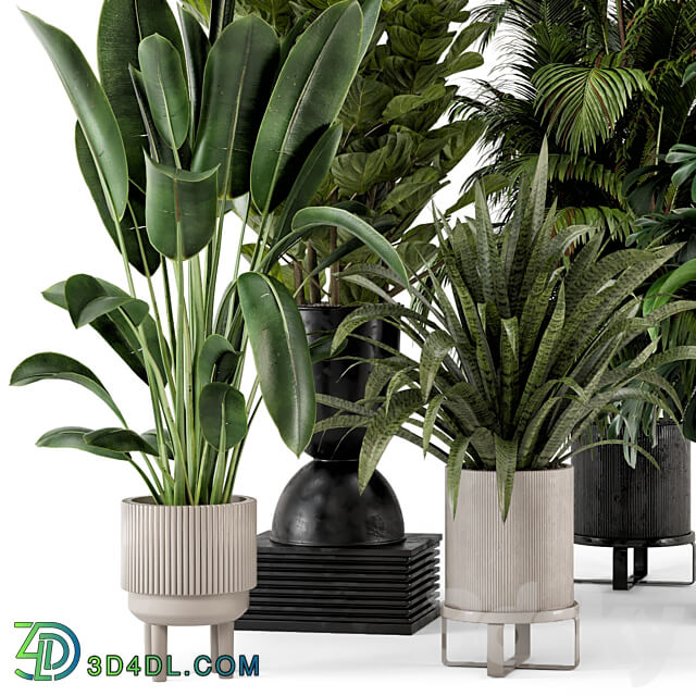 Indoor Plants in Ferm Living Bau Pot Large Set 376 3D Models 3DSKY