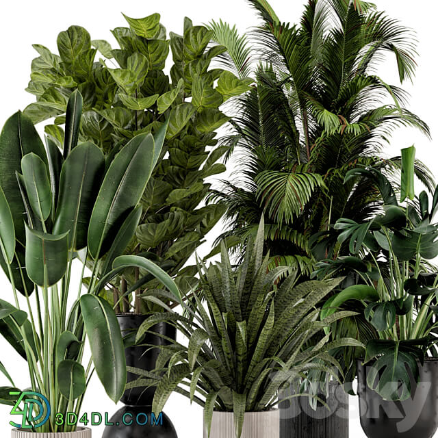 Indoor Plants in Ferm Living Bau Pot Large Set 376 3D Models 3DSKY