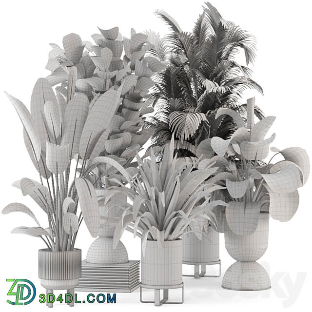 Indoor Plants in Ferm Living Bau Pot Large Set 376 3D Models 3DSKY