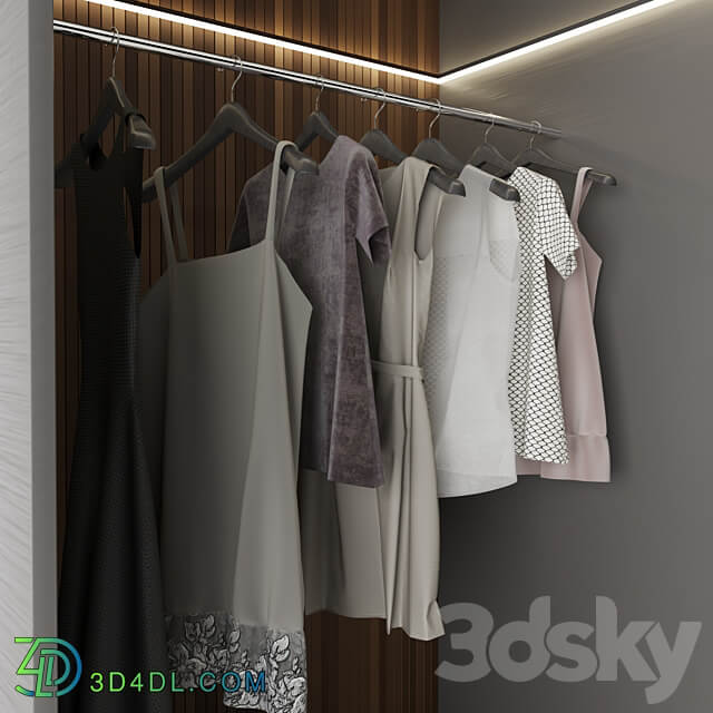 Wardrobe No 04 Wardrobe Display cabinets 3D Models