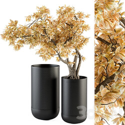 Bouquet Set Autumn Branch in Black Vase 78 3D Models 