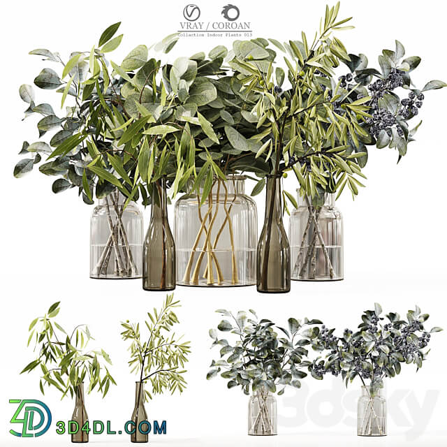Collaction Indoor Plants 013 3D Models