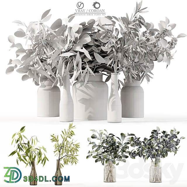 Collaction Indoor Plants 013 3D Models