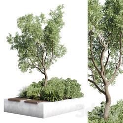 Urban Environment Urban Furniture Green Benches Collection Plants and Tree 11 3D Models 