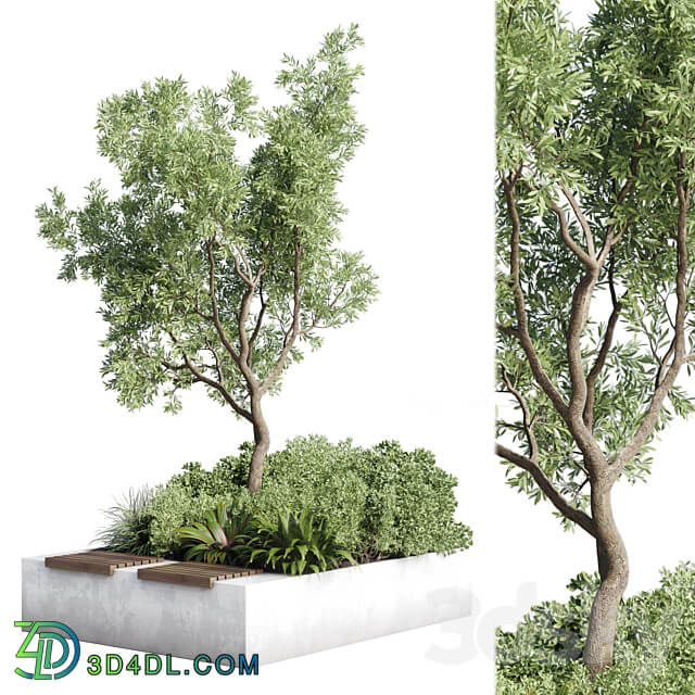 Urban Environment Urban Furniture Green Benches Collection Plants and Tree 11 3D Models