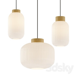 Shape Mini Pendant Pendant light 3D Models 