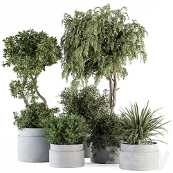 indoor Plant Set 341 Tree and Plant Set in Gray pot 3D Models 