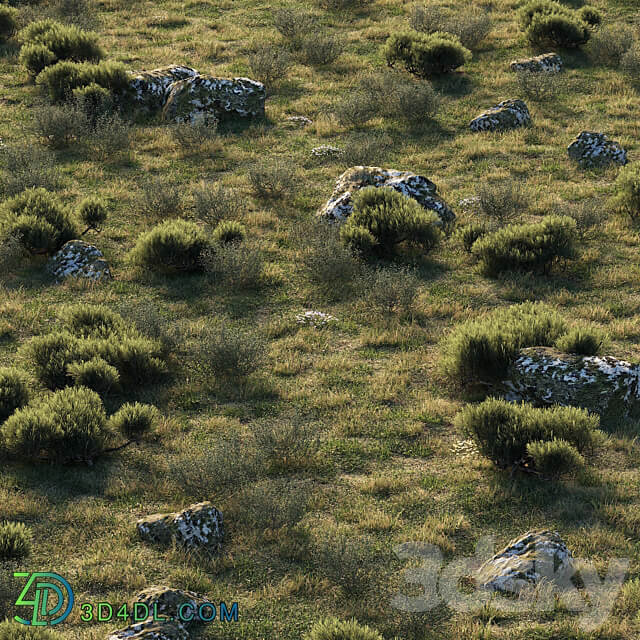 forest landscape 3D Models