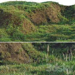 Grass on the slope 3D Models 