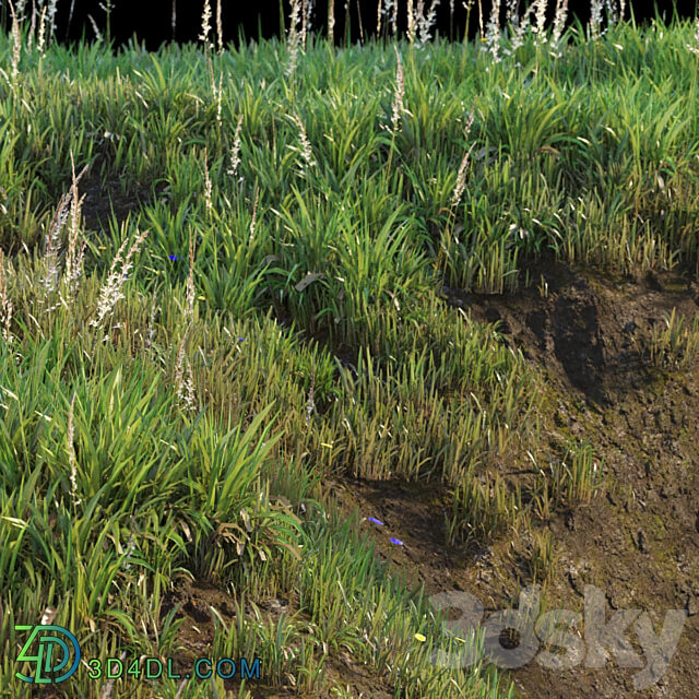 Grass on the slope 3D Models