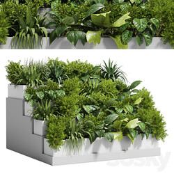 Stairs plant Collection outdoor indoor plant 78 concrete vase pot fern bush grass 3D Models 