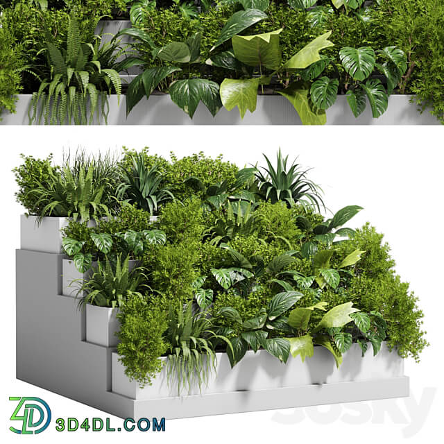 Stairs plant Collection outdoor indoor plant 78 concrete vase pot fern bush grass 3D Models