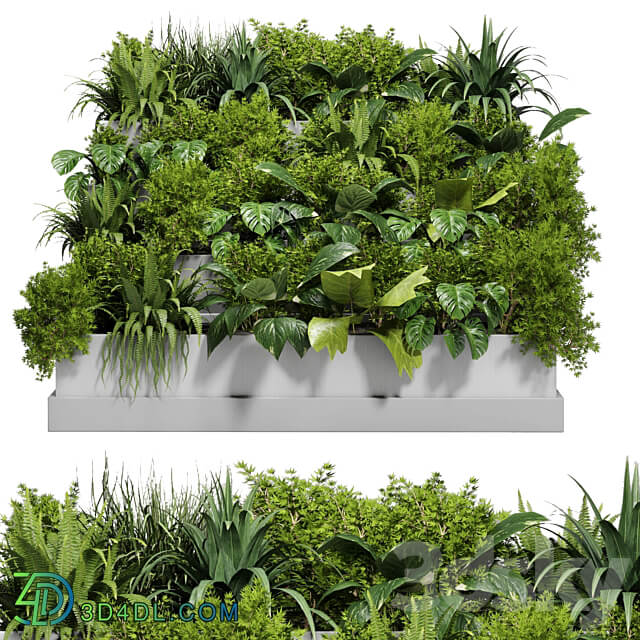 Stairs plant Collection outdoor indoor plant 78 concrete vase pot fern bush grass 3D Models