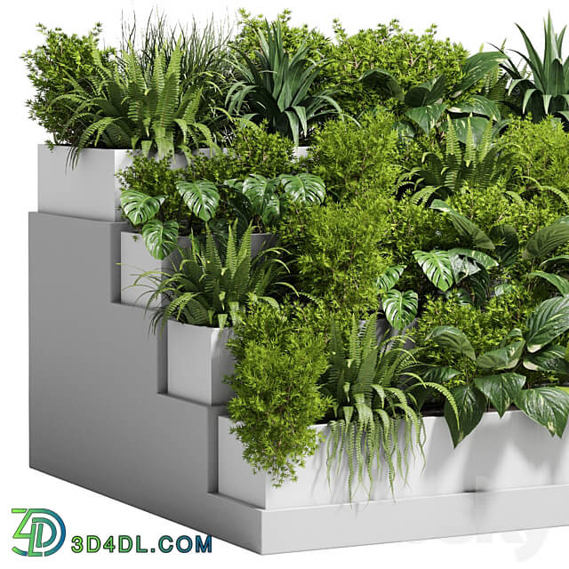 Stairs plant Collection outdoor indoor plant 78 concrete vase pot fern bush grass 3D Models