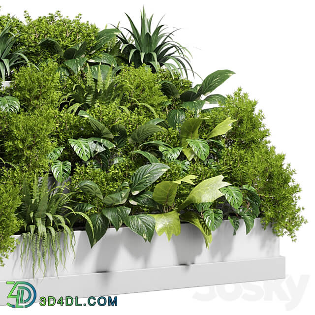 Stairs plant Collection outdoor indoor plant 78 concrete vase pot fern bush grass 3D Models