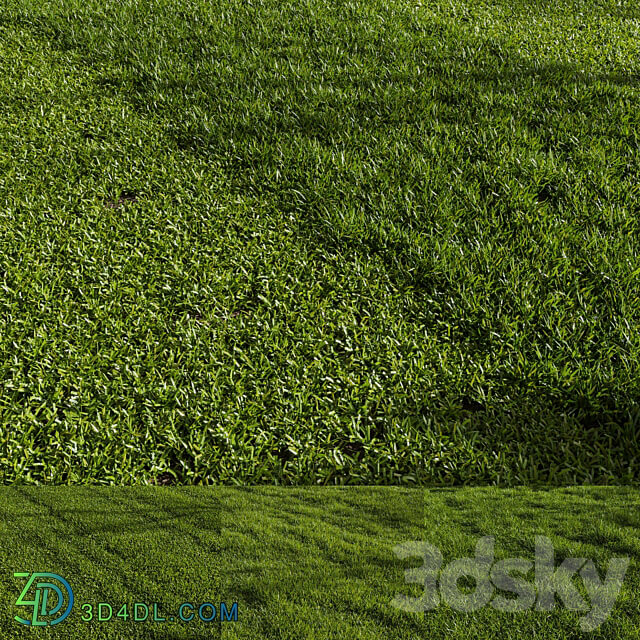 Grass Pack 01 3D Models