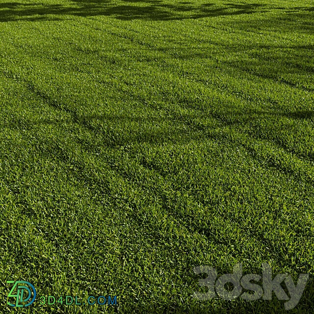 Grass Pack 01 3D Models