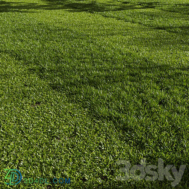 Grass Pack 01 3D Models