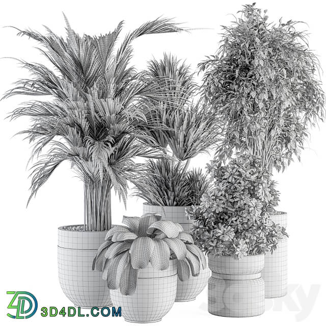 indoor Plant Set 362 Tree and Plant Set in Black and Gray pot 3D Models