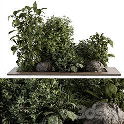 Garden Set Tropical Plants Outdoor Plants Set 381 3D Models 