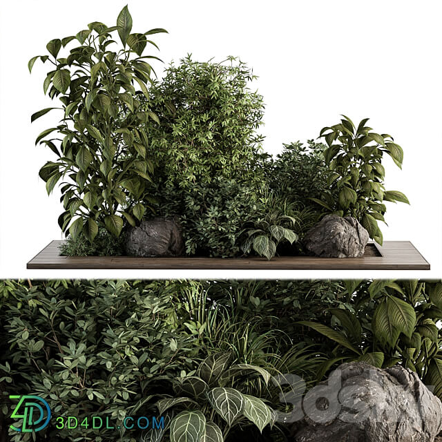 Garden Set Tropical Plants Outdoor Plants Set 381 3D Models