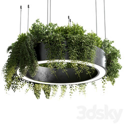 pot light pendant plant light hanging 05 Pendant light 3D Models 