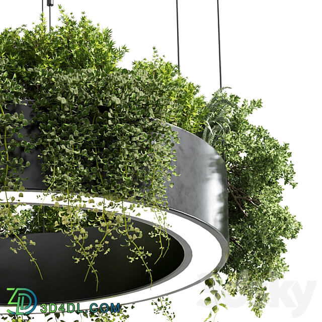 pot light pendant plant light hanging 05 Pendant light 3D Models