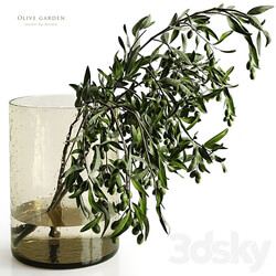olive garden 3D Models 