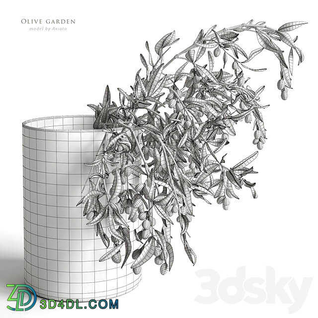 olive garden 3D Models