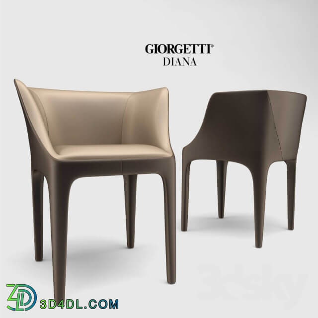 Giorgetti Diana