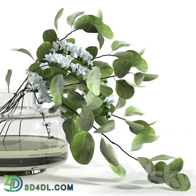 Bouquet with freesias and eucalyptus 3D Models