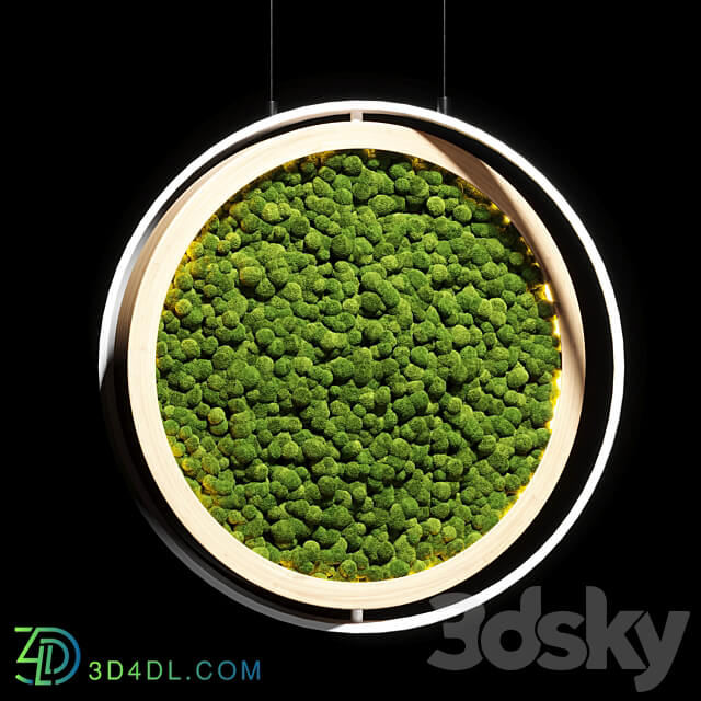 hanging garden and hanging moss in wooden frame 218 3D Models
