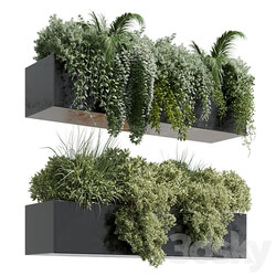 wall plant hanging plants collection Indoor plant 219 3D Models 