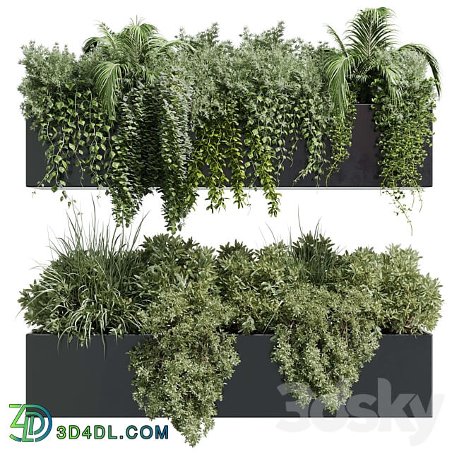 wall plant hanging plants collection Indoor plant 219 3D Models