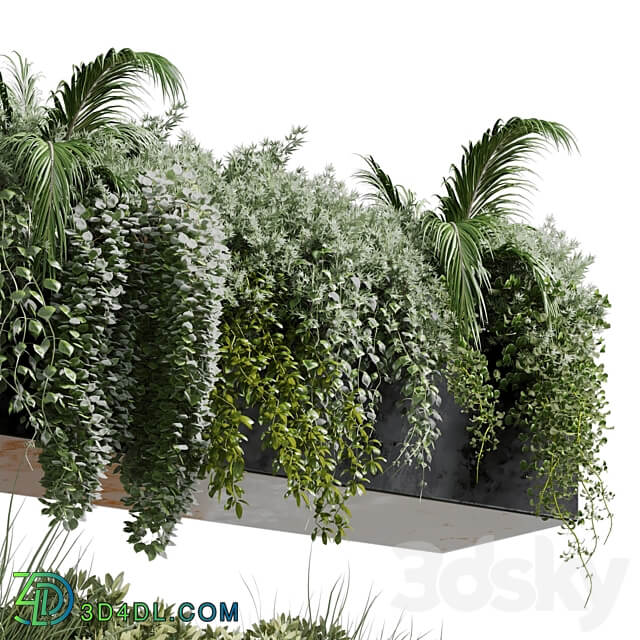 wall plant hanging plants collection Indoor plant 219 3D Models