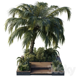 garden pot tree palm bush fern grass concrete base Collection Outdoor plant 102 3D Models 