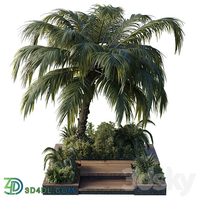 garden pot tree palm bush fern grass concrete base Collection Outdoor plant 102 3D Models