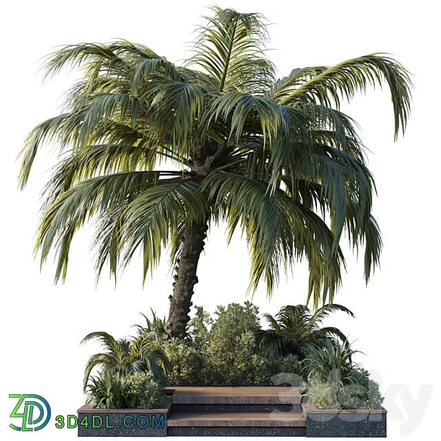 garden pot tree palm bush fern grass concrete base Collection Outdoor plant 102 3D Models