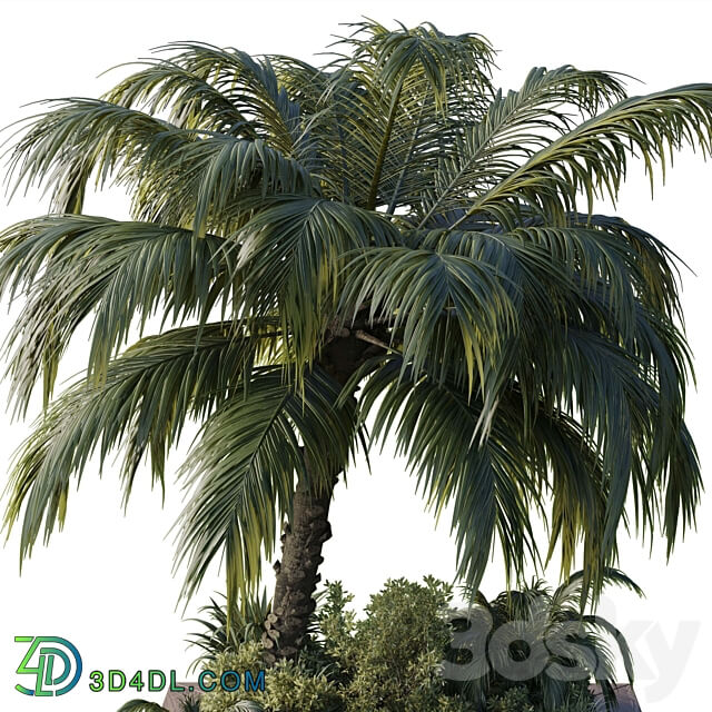 garden pot tree palm bush fern grass concrete base Collection Outdoor plant 102 3D Models